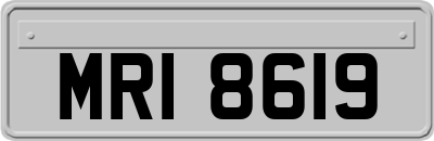 MRI8619