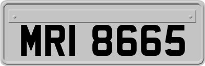 MRI8665