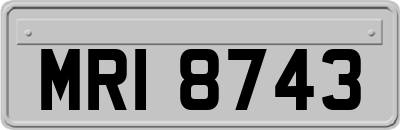 MRI8743