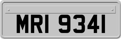 MRI9341
