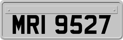 MRI9527