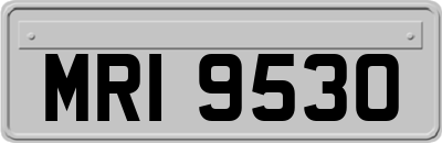 MRI9530
