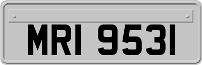 MRI9531