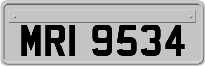 MRI9534