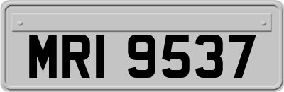 MRI9537