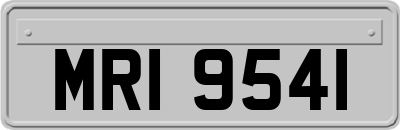 MRI9541