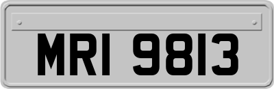 MRI9813
