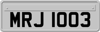 MRJ1003