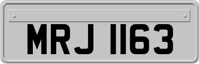 MRJ1163