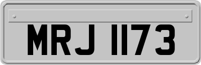 MRJ1173