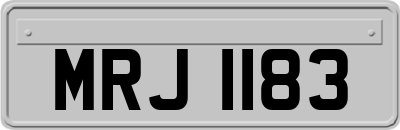 MRJ1183
