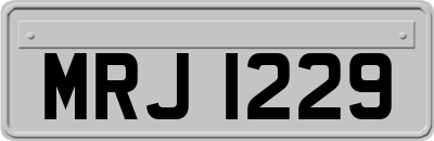 MRJ1229