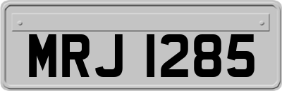 MRJ1285