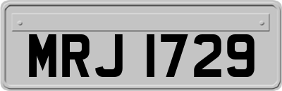 MRJ1729