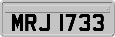 MRJ1733