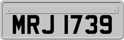 MRJ1739