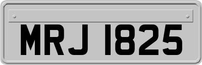 MRJ1825
