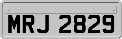 MRJ2829