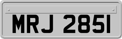 MRJ2851