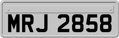 MRJ2858