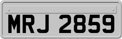 MRJ2859