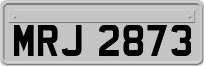 MRJ2873