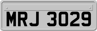 MRJ3029