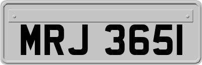 MRJ3651