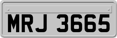 MRJ3665