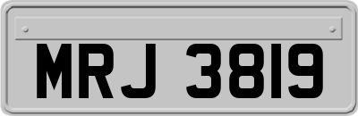 MRJ3819