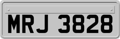 MRJ3828