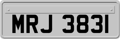 MRJ3831