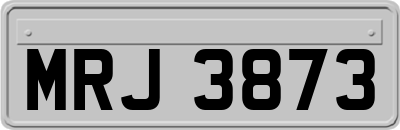 MRJ3873
