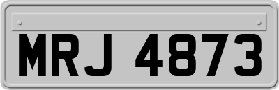 MRJ4873