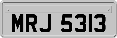 MRJ5313
