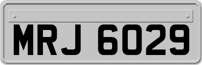 MRJ6029