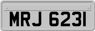 MRJ6231
