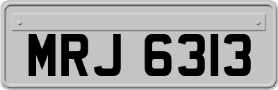 MRJ6313