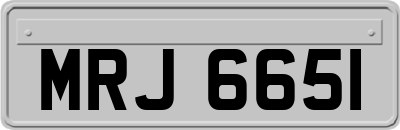 MRJ6651
