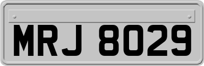 MRJ8029