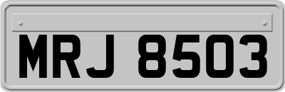 MRJ8503
