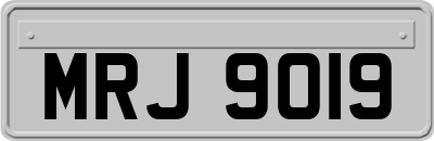 MRJ9019