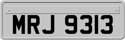 MRJ9313