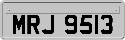 MRJ9513