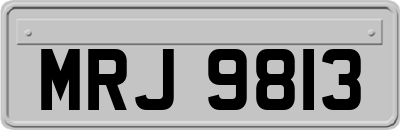 MRJ9813