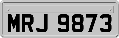 MRJ9873