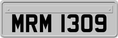 MRM1309