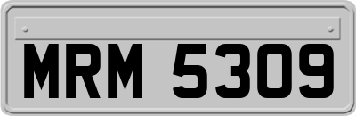 MRM5309