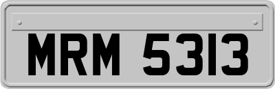 MRM5313