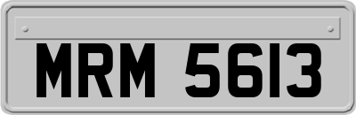 MRM5613